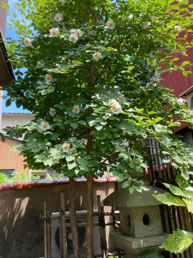Guesthouse Namaste Kanazawa Ngoại thất bức ảnh